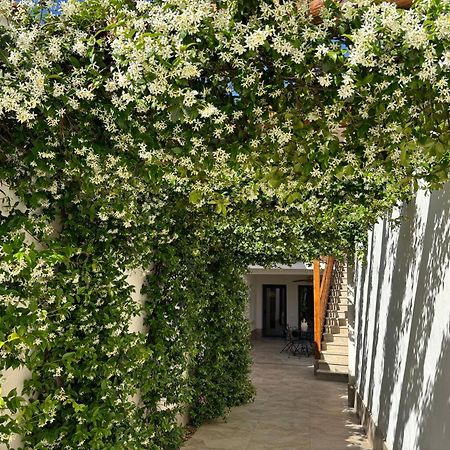 El Patio De Los Jazmines Boutique-House 康斯埃古拉 外观 照片